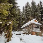 Hotel Vedmezhyi Dvir
