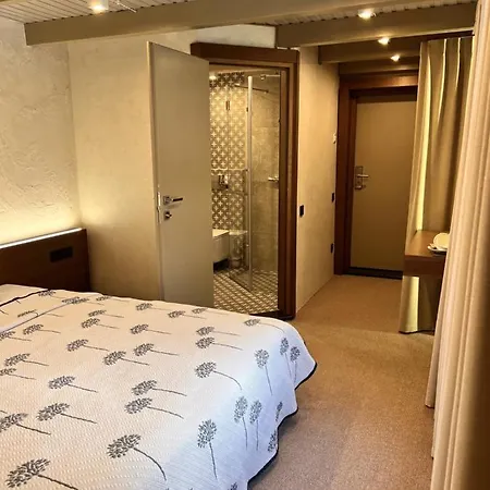 Vedmezhyi Dvir Hotel