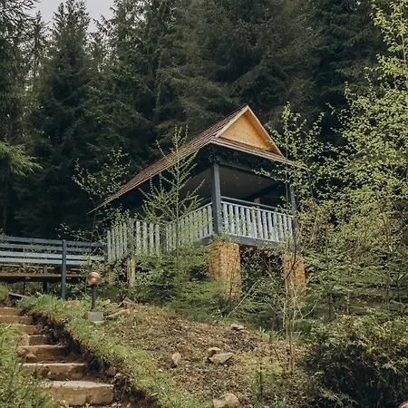 Vedmezhyi Dvir