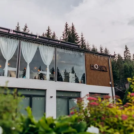Hotel Vedmezhyi Dvir 3*