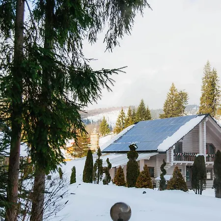 Hotel Vedmezhyi Dvir 3*