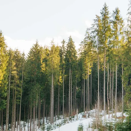 Hotel Vedmezhyi Dvir 3*