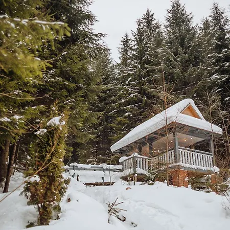 Hotel Vedmezhyi Dvir