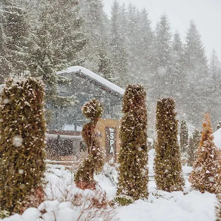 Vedmezhyi Dvir Hotel