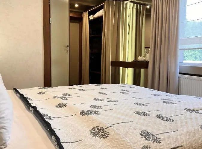韦德梅兹沃尔酒店 酒店 3*