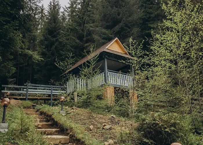 Vedmezhyi Dvir
