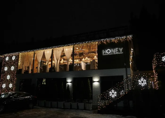 Otel Vedmezhyi Dvir 3*
